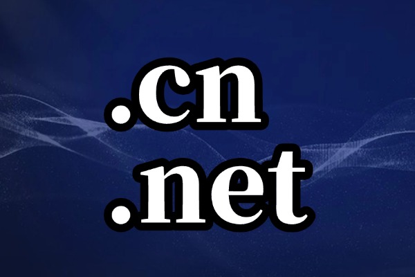 cn域名与net域名
