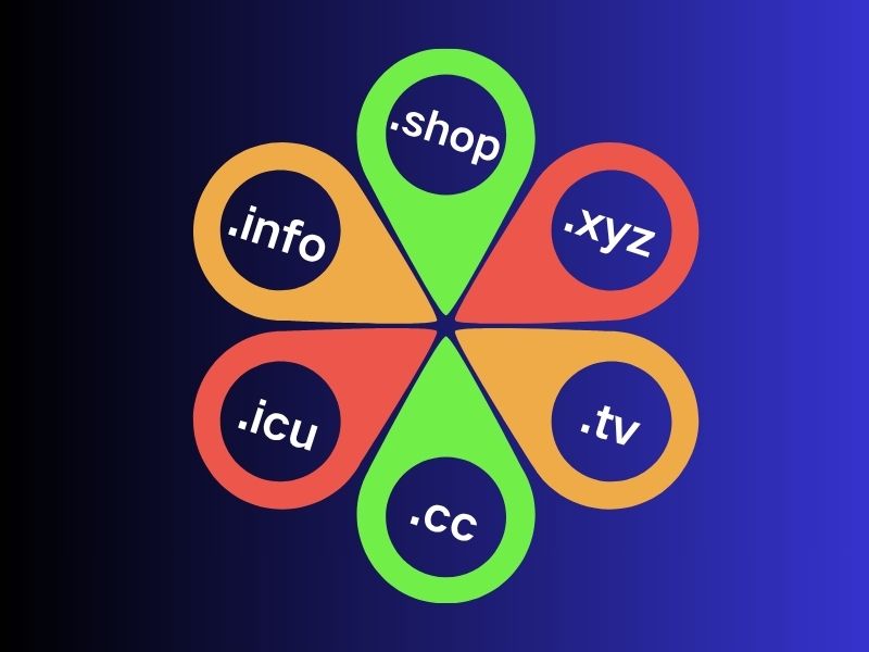 老域名购买后怎么使用