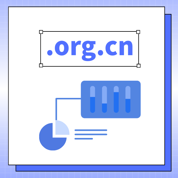 .org.cn域名代表什么意思 .org.cn域名代表什么意思