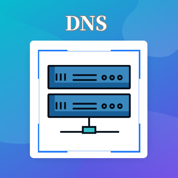 域名解析的作用是什么？